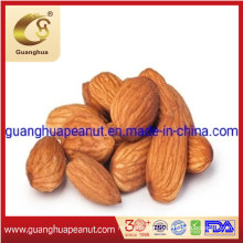 Hot Sale Health Nut Almonds